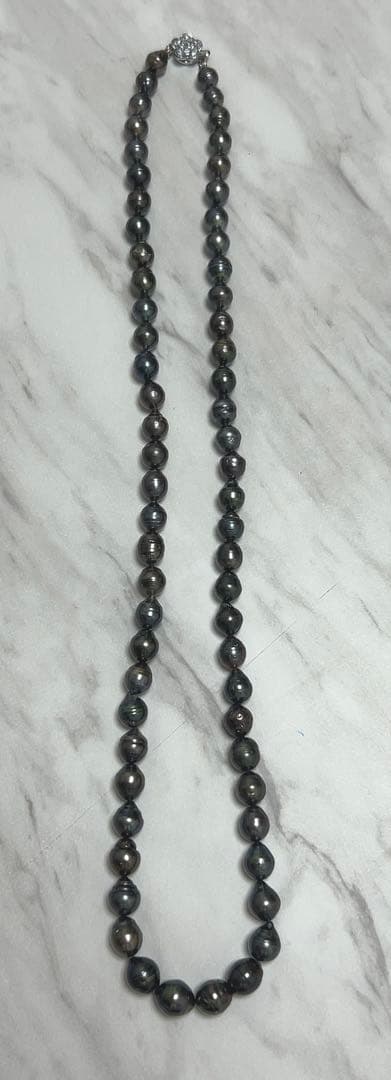 服部哲也1683【猫になった君】サイベリアン ドローイング パステル