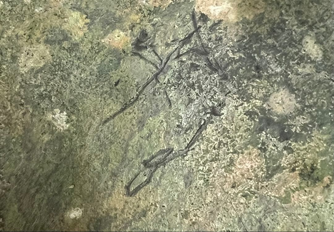 中国春秋時代の青銅器 王子午鼎 中国古玩 - メルカリ