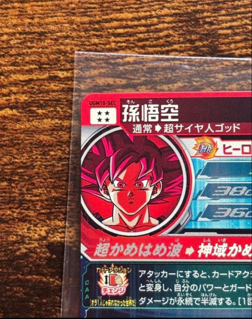 SDBH DBH まとめ売り＋バインダー