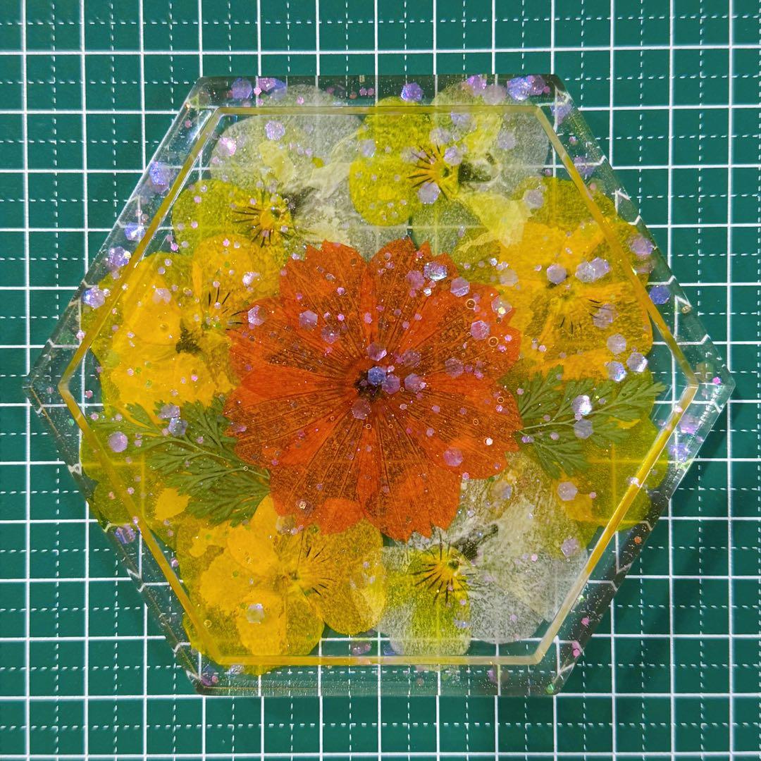 No.427⭐️固まるハーバリウム✨️ 六角形プレート - メルカリ