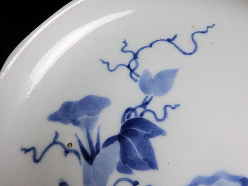 古伊万里　染付　朝顔の図　6寸皿　江戸中期 　A889AS-BGp