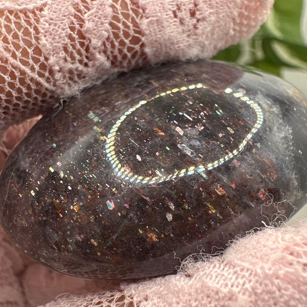 アイオライト♡サンストーン共生♡パーム♡ No.1551