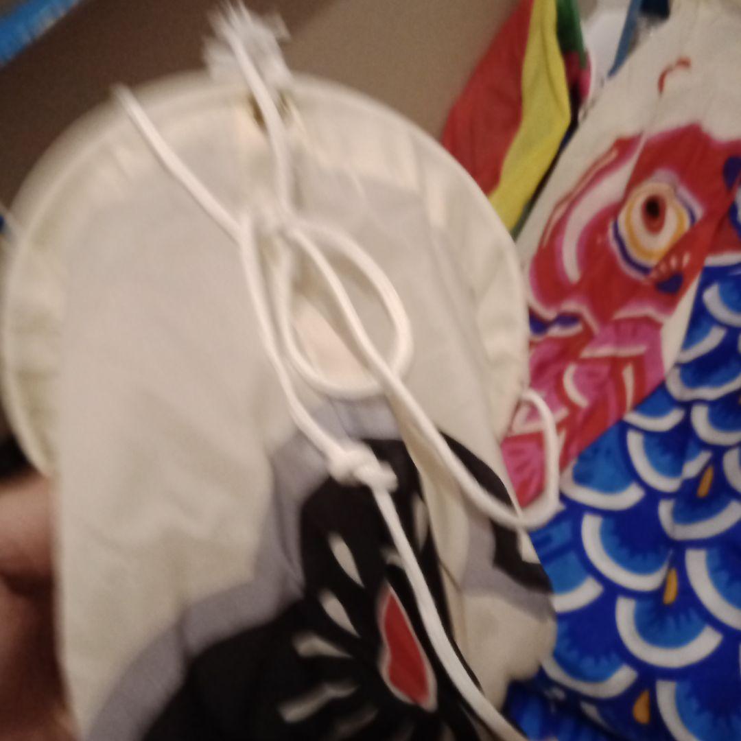 鯉のぼり　子供の日