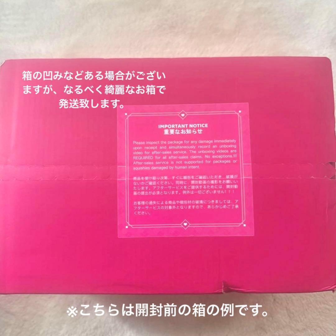 【未開封２箱】Mellojoy メロジョイ　2026年新年チーム