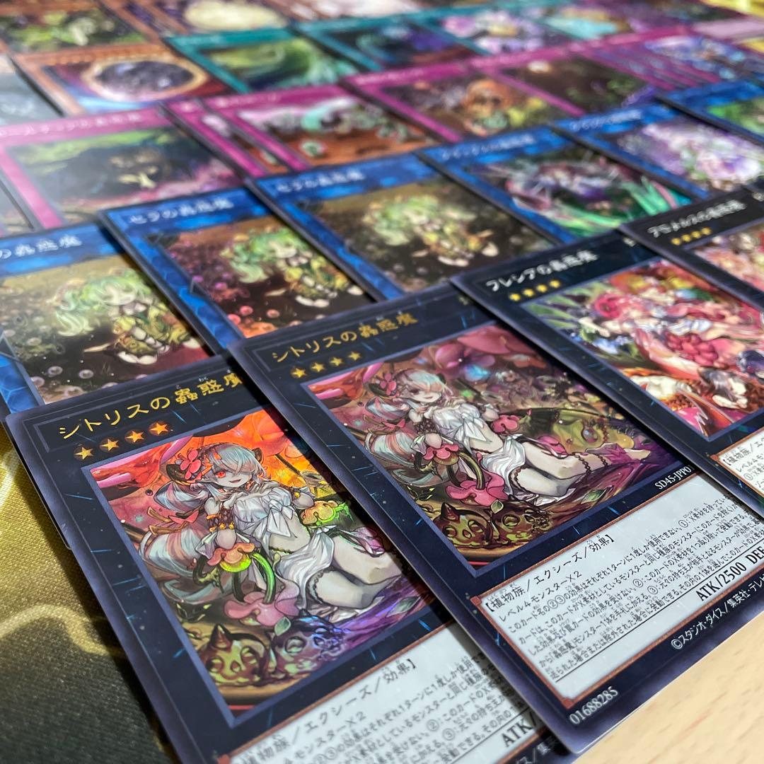 大会優勝構築 蟲惑魔デッキ セラの蟲惑魔 ライカの蟲惑魔 シトリスの蟲惑魔