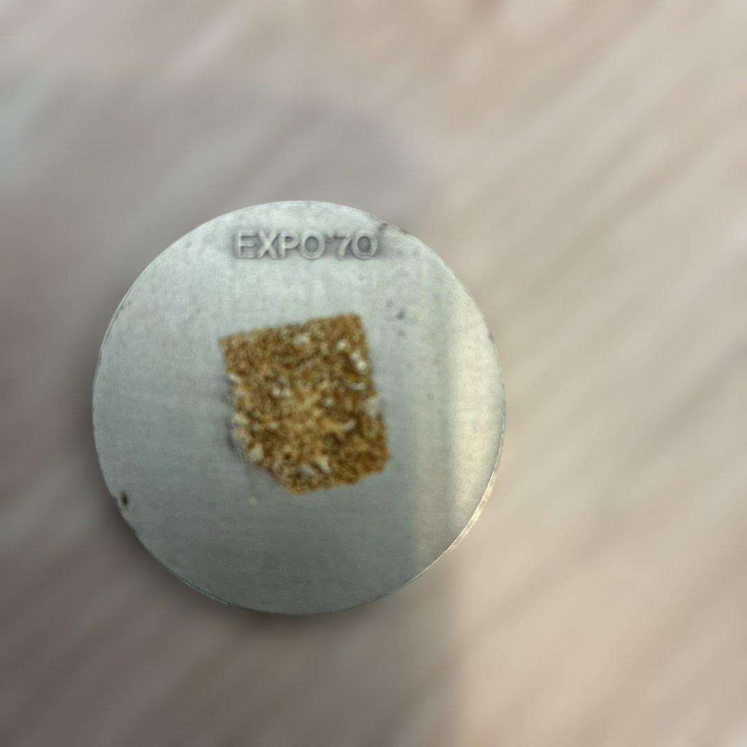 ダ*ル様 1970年 大阪万博 記念硬貨