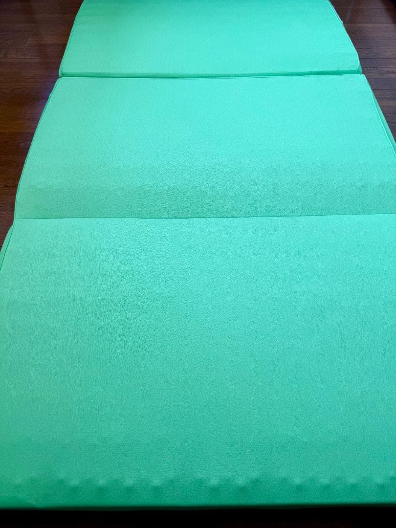 【送料込み】ヘルスウェーブゴールド すややか デラックス マットレス