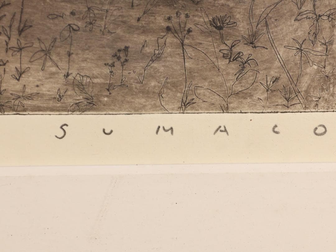 いちご　安井寿磨子 「 待つこころ 」 15/35 10号 BK175