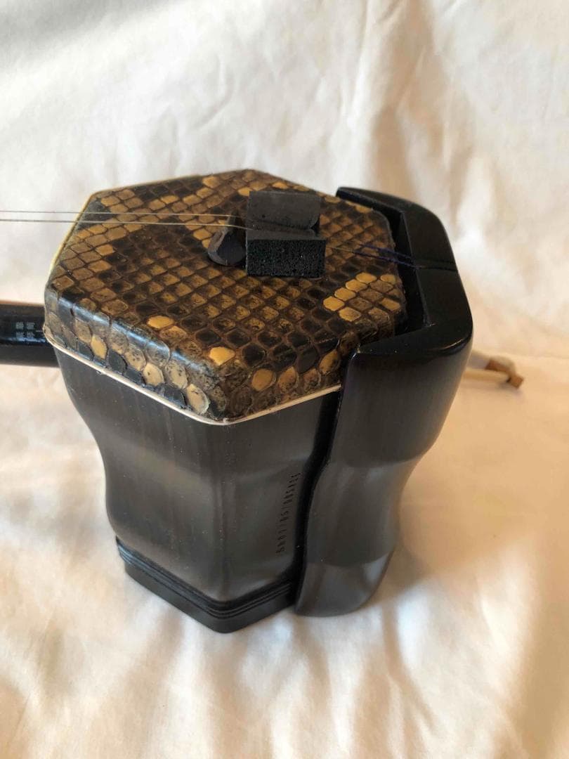 二胡 弦楽器 ほとんど未使用 中国伝統楽器 セット