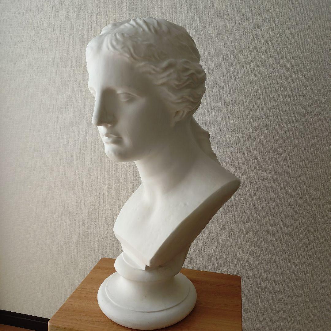 ミロのビーナス　胸像