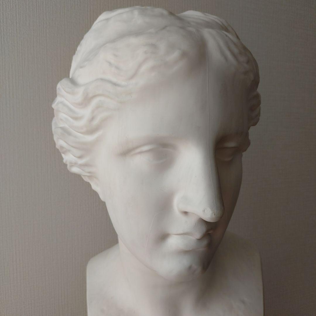 ミロのビーナス　胸像