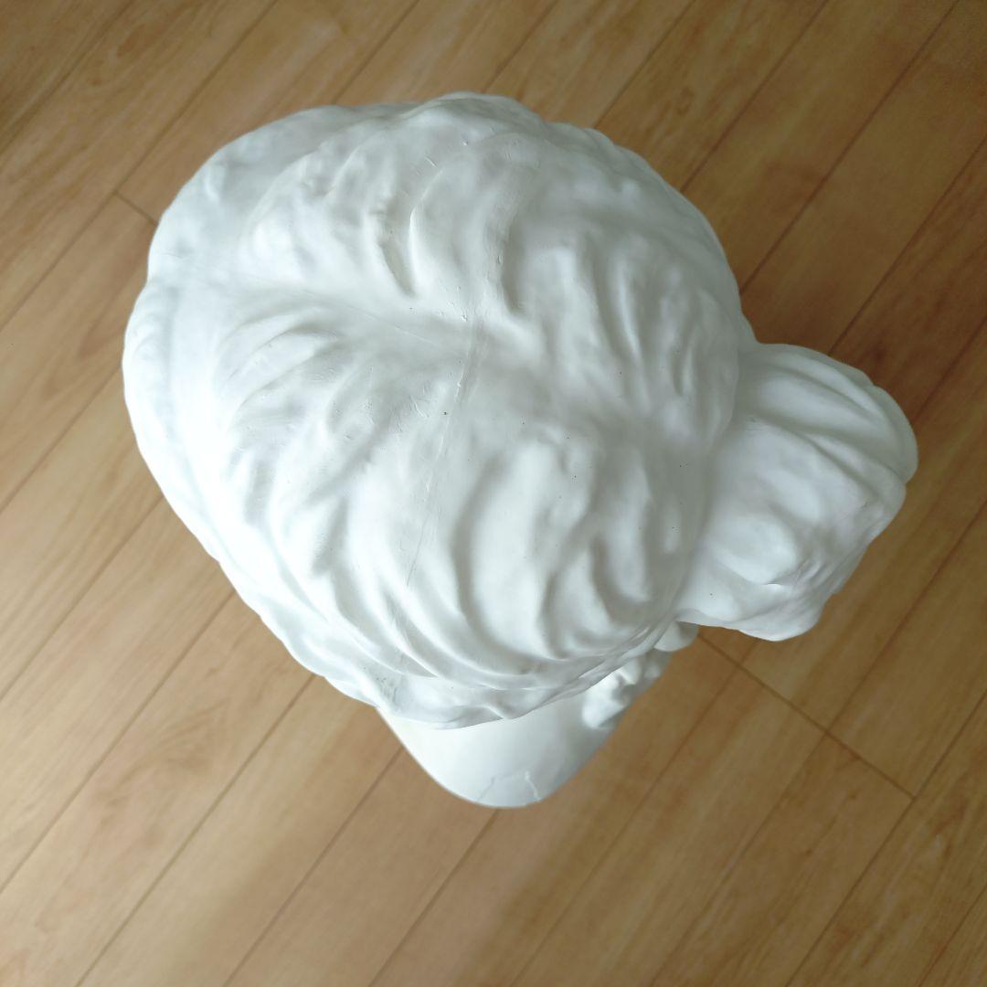 ミロのビーナス　胸像