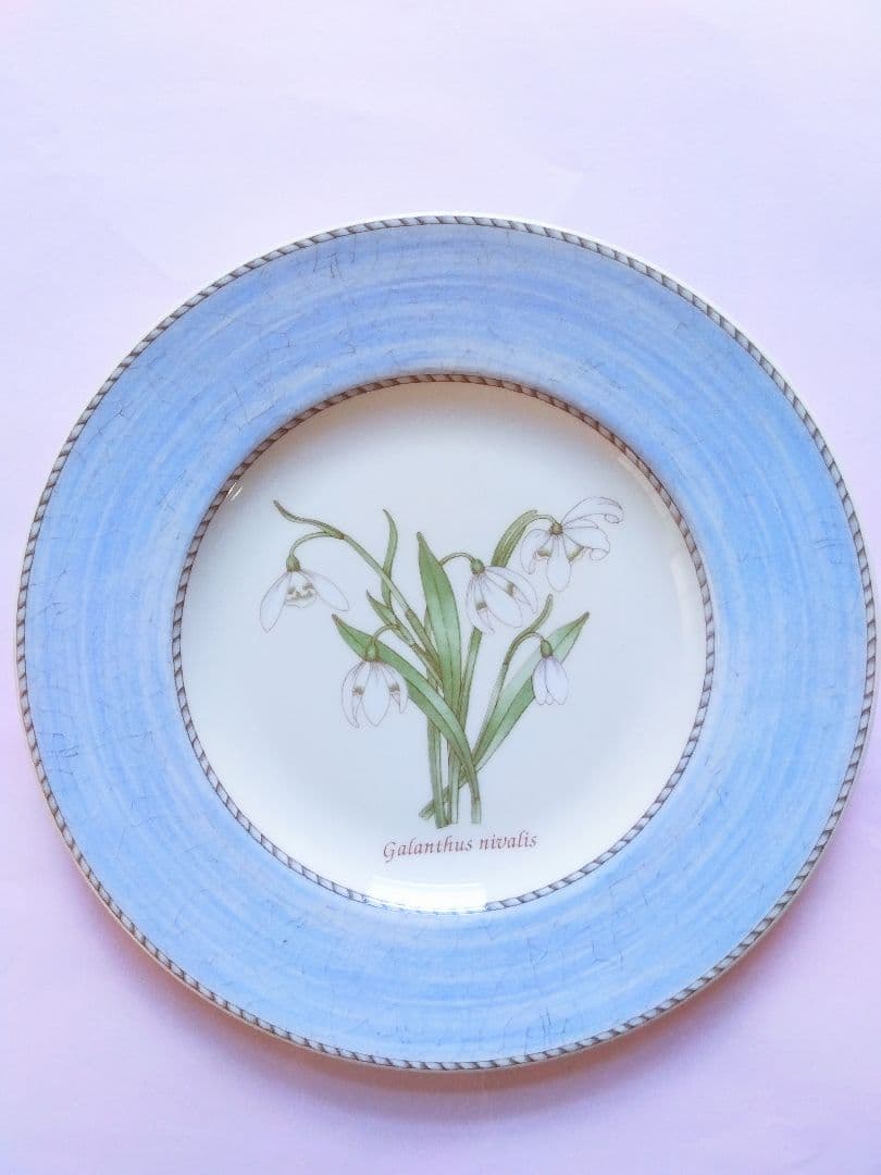 【新品】値下２点ウェッジウッド稀少★スノードロップ★デザート皿