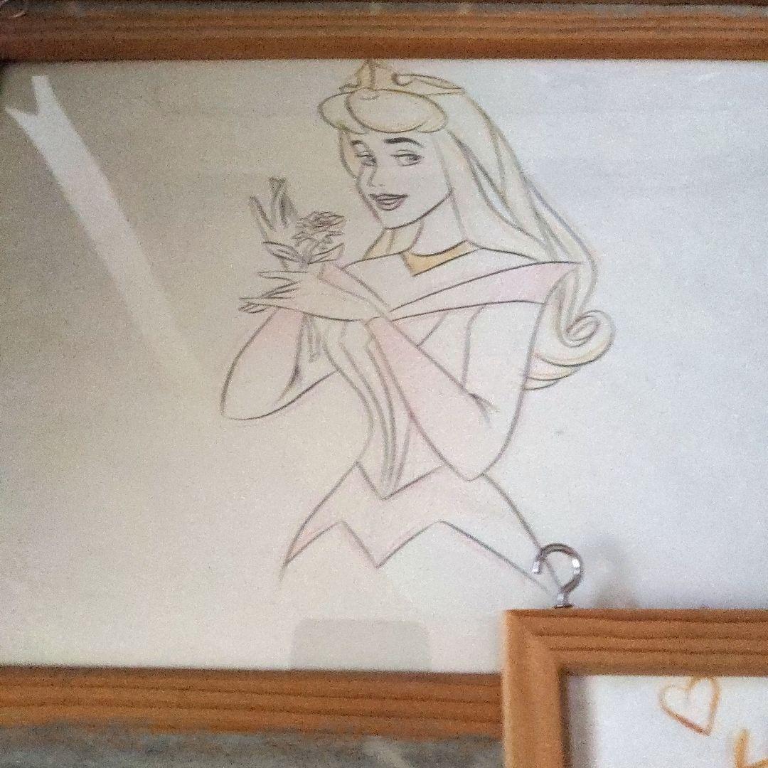 ディズニー　キャラクター　イラスト5枚 フロリダディズニーランド