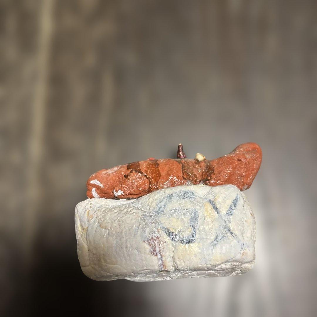 学校で作った食品サンプルのお寿司