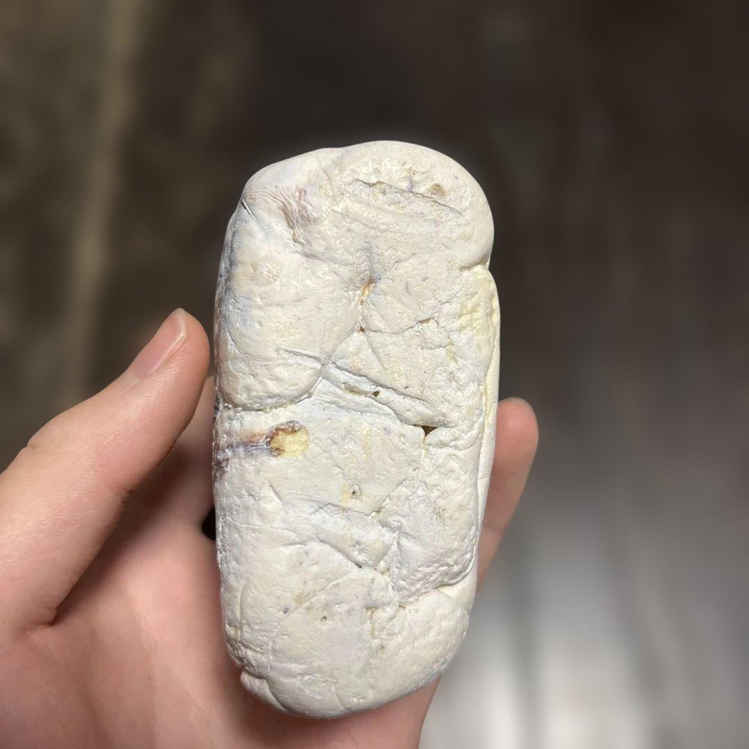 学校で作った食品サンプルのお寿司