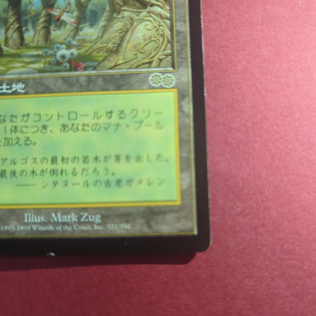 MTG　ガイアの揺籃の地　Gaea's Cradle　USG　日本語版