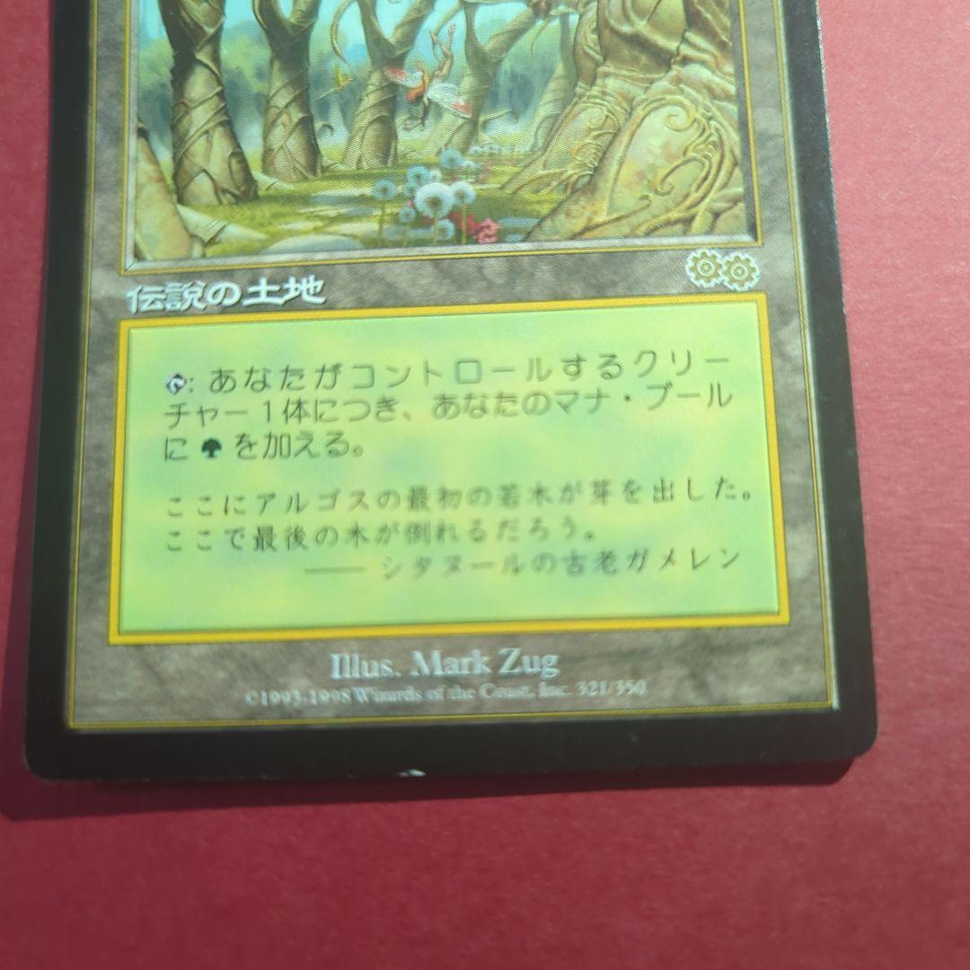 MTG　ガイアの揺籃の地　Gaea's Cradle　USG　日本語版