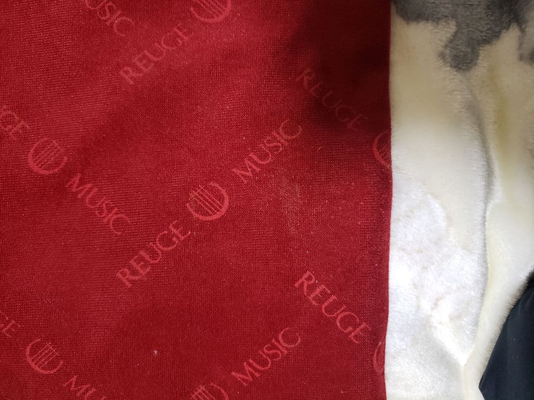 【値下しました！】REUGE MUSIC シリンダーオルゴール 72弁