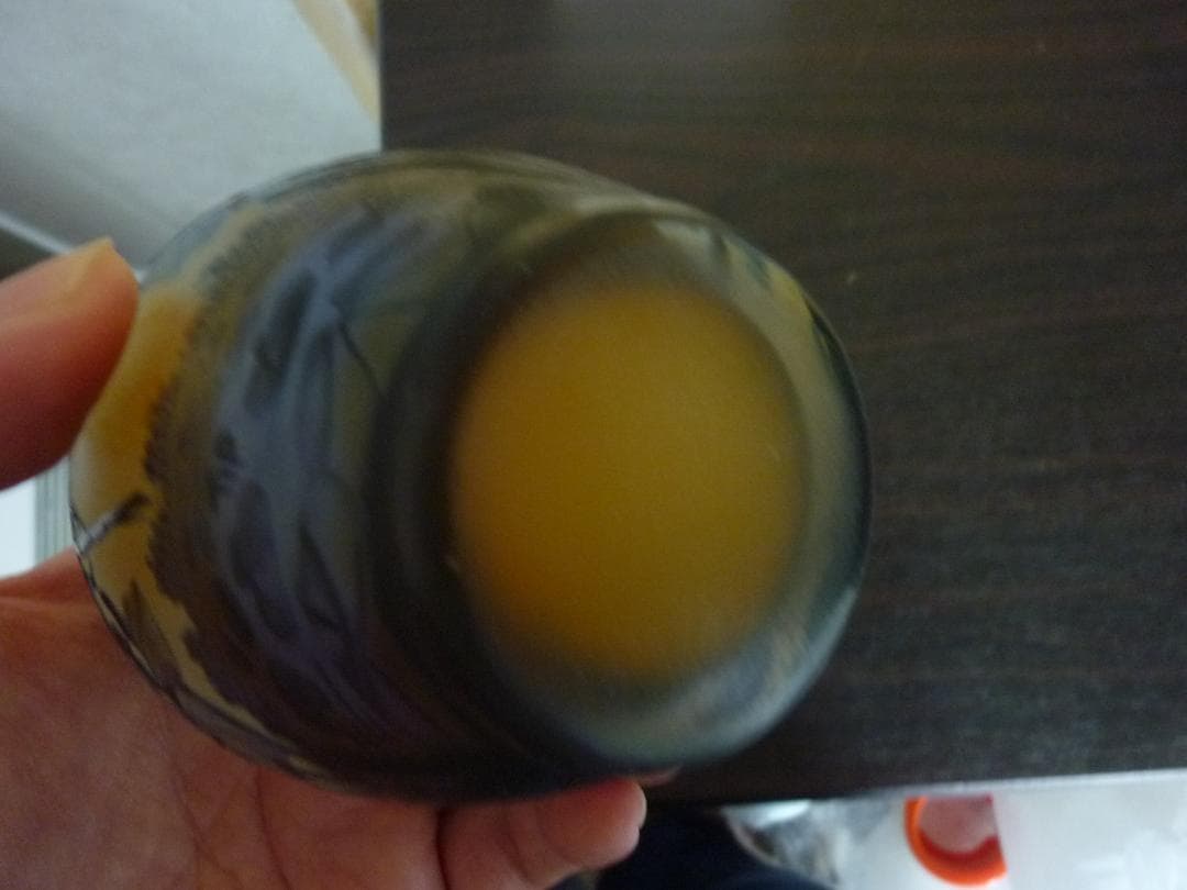 レア！ ガガンボ 縞模様 ガラス骨壷