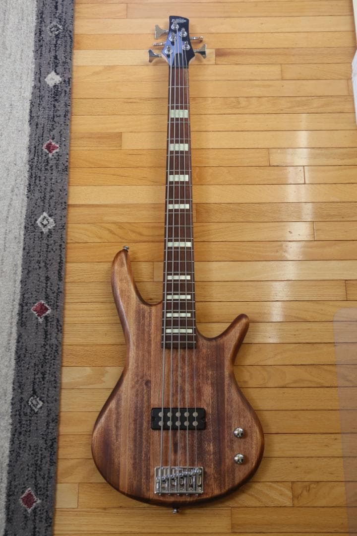 GIO Ibanez 5弦ベース エレキ GSR105EX 初心者向け ケース付GIO Ibanez