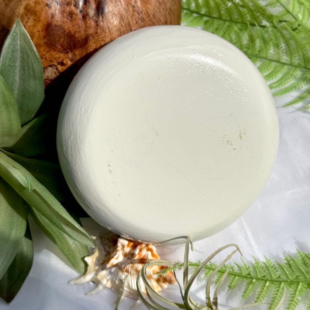 インテリアアート　貝殻　珊瑚礁　海の置き物　美ら海　沖縄