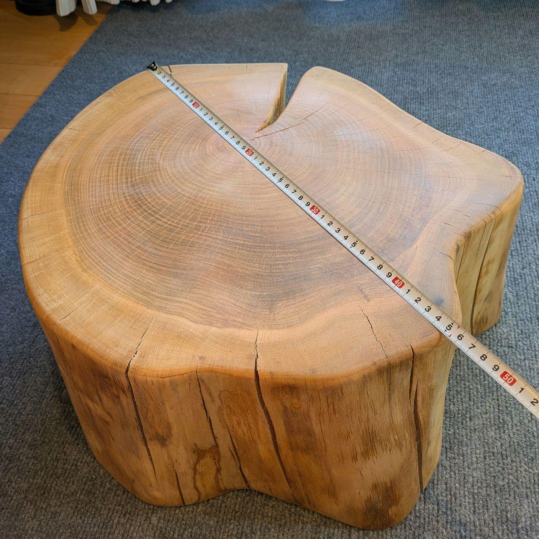 山桜　天然木　切り株　輪切り　高さ約19.5㎝