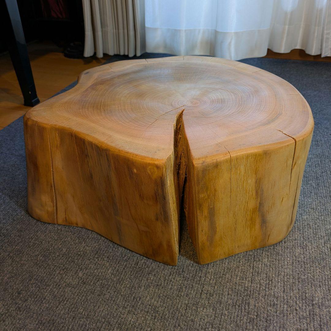 山桜　天然木　切り株　輪切り　高さ約19.5㎝