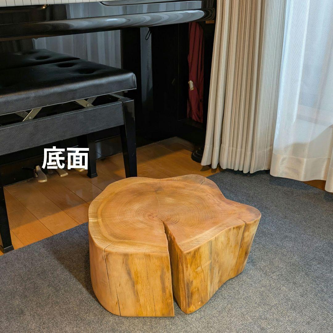 山桜　天然木　切り株　輪切り　高さ約19.5㎝