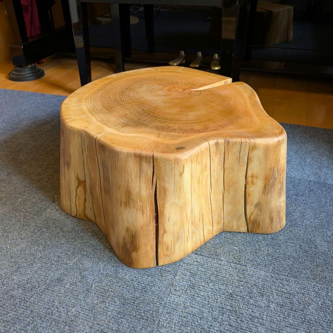 山桜　天然木　切り株　輪切り　高さ約19.5㎝