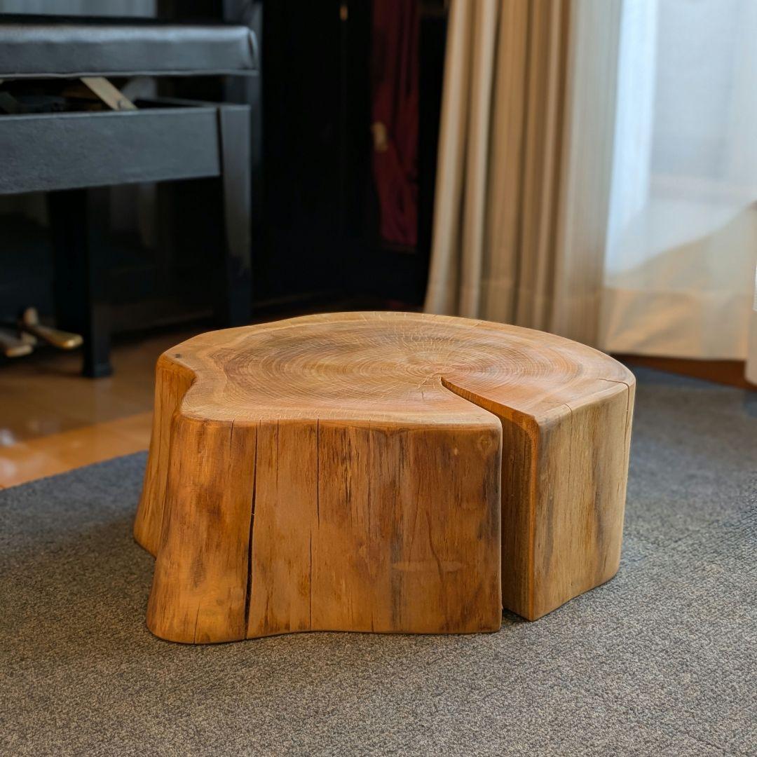 山桜　天然木　切り株　輪切り　高さ約19.5㎝