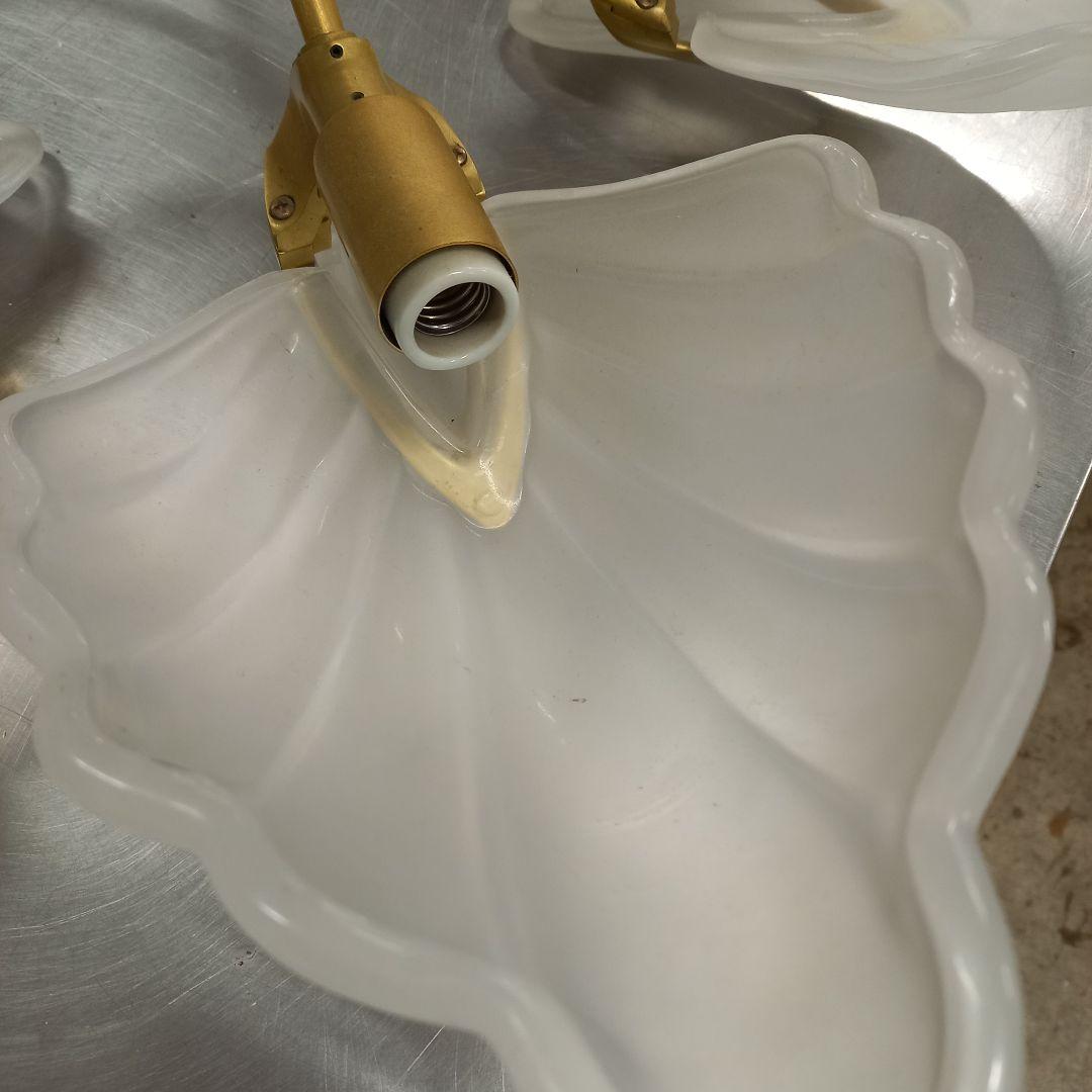 コイズミ　貝殻型6灯シャンデリア