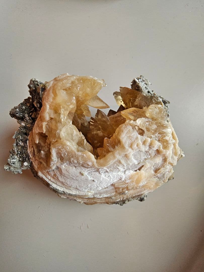 天然石 結晶 貝 化石 クラスター原石 置物 ミネラルマルシェ 巨大 鉱物 標本