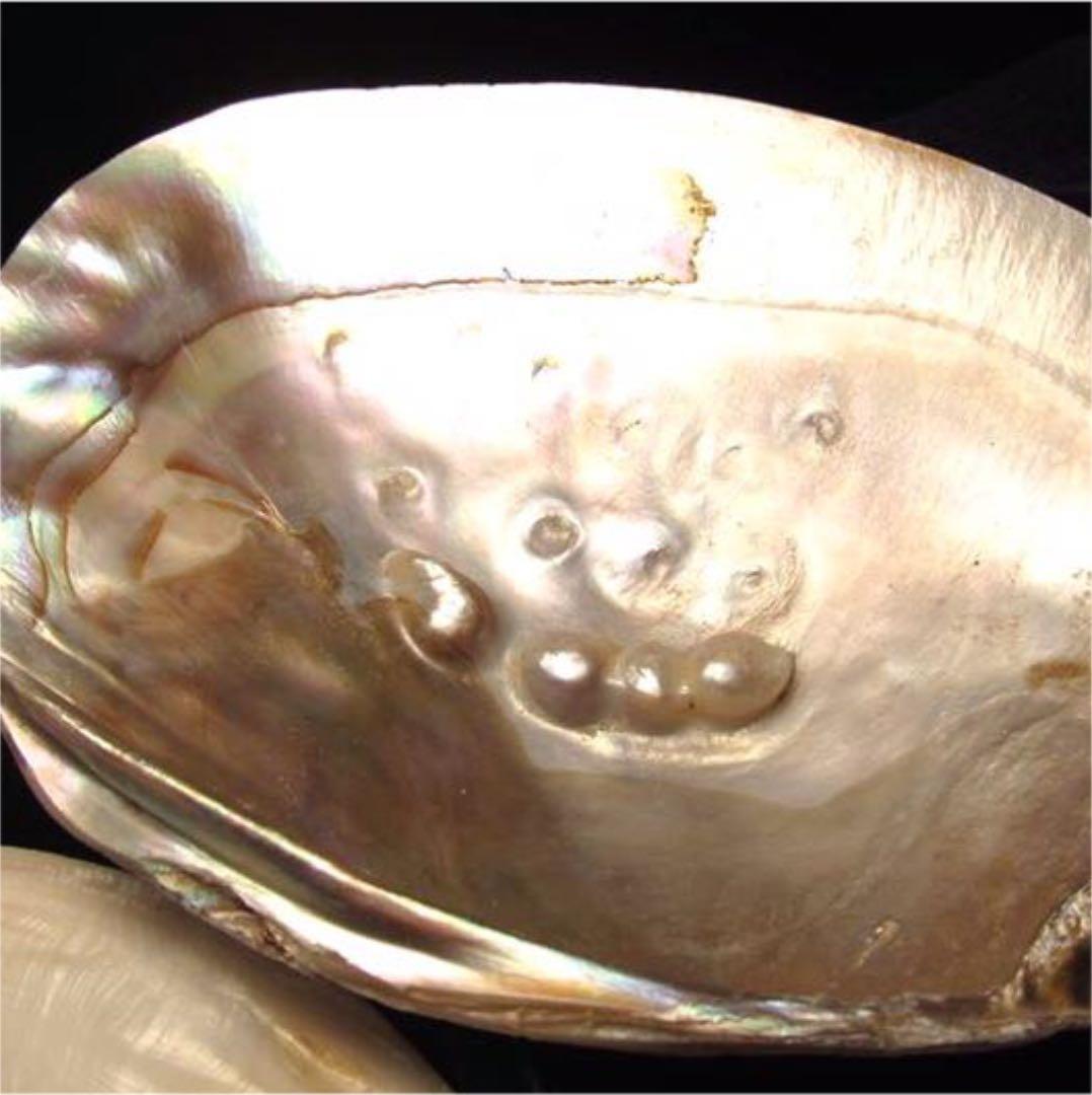 ★特選NEW★浄化✴︎エネルギーUP☆得々２枚【イケチョウ貝パールシェルトレイ】❤️