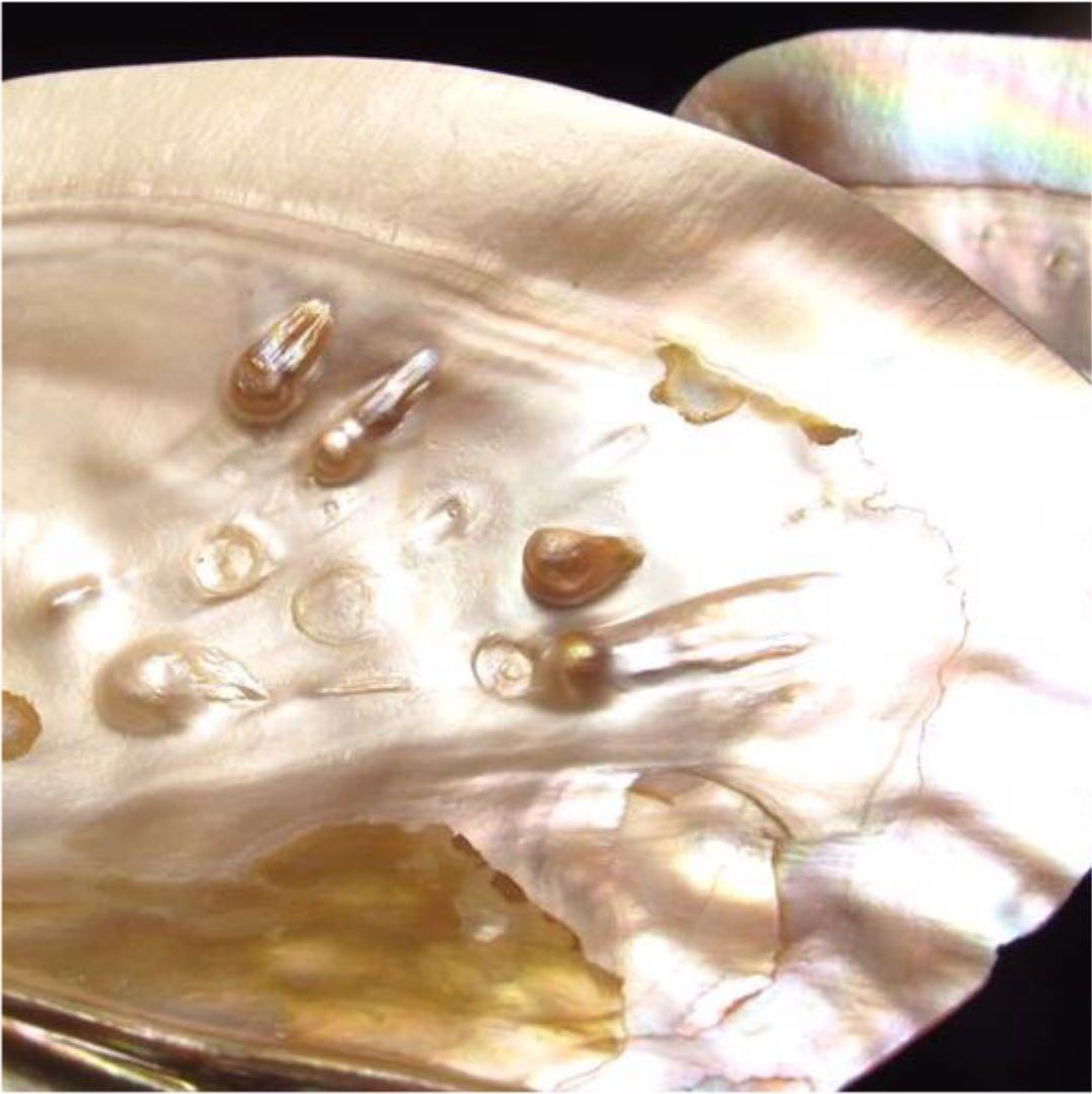 ★特選NEW★浄化✴︎エネルギーUP☆得々２枚【イケチョウ貝パールシェルトレイ】❤️