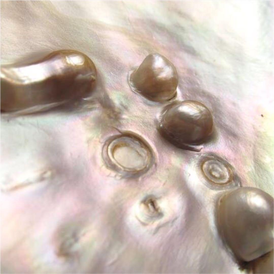 ★特選NEW★浄化✴︎エネルギーUP☆得々２枚【イケチョウ貝パールシェルトレイ】❤️