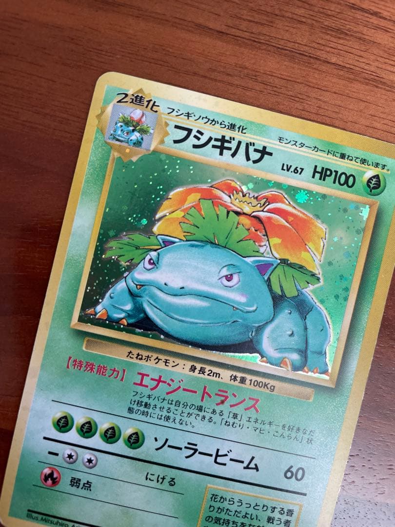 旧裏・御三家 フシギダネ／フシギソウ／フシギバナ★キラ 初期進化ラインセット