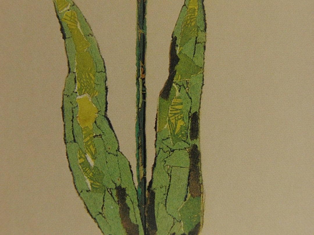 山下清、【チューリップ】、希少な額装用画集より、美品、日本人画家