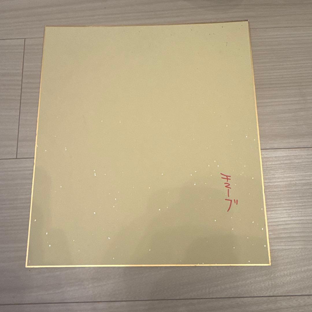 TUBE 直筆サイン色紙 - メルカリ