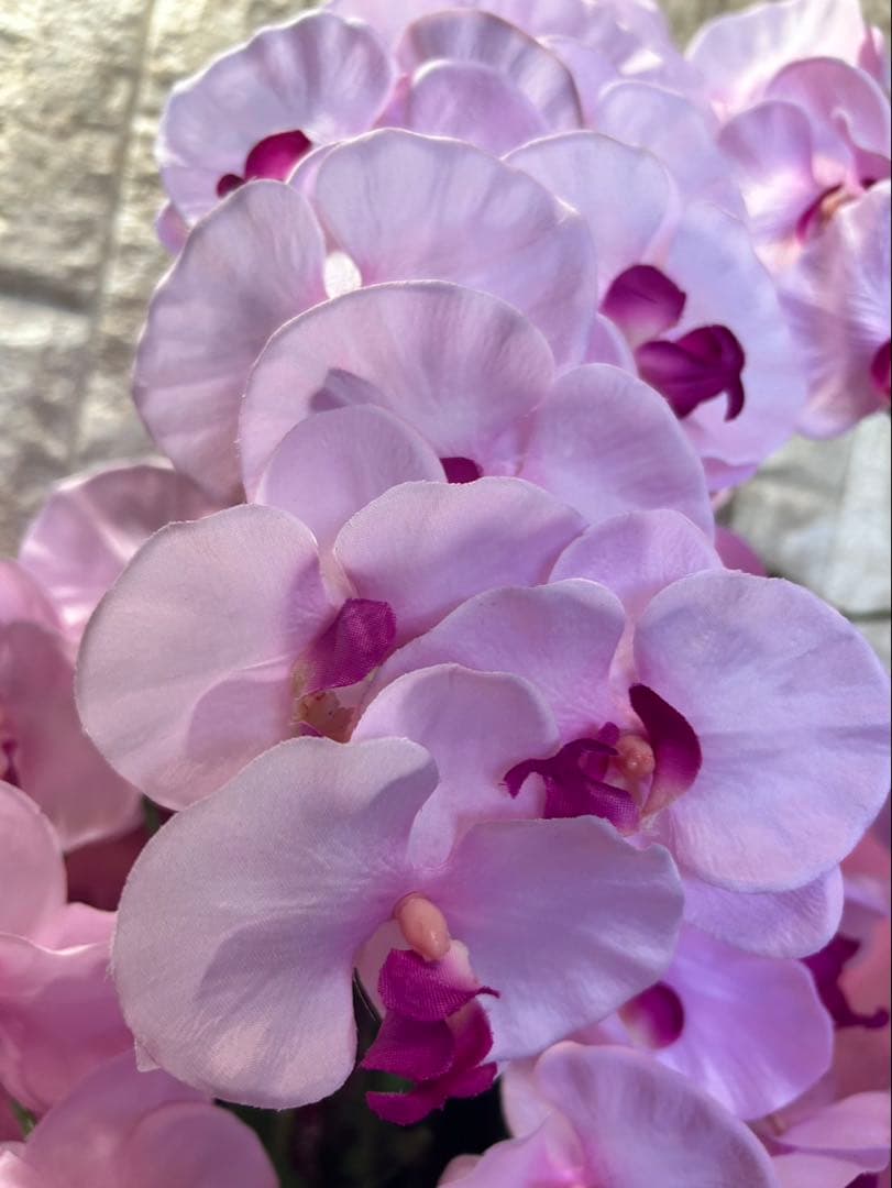 光触媒　人工観葉植物　ウォールグリーン　フェイクグリーン　胡蝶蘭8550