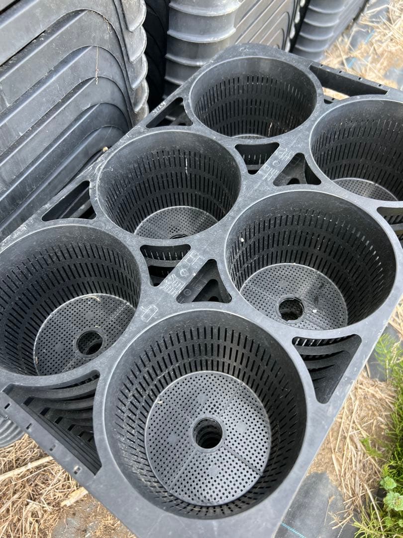 空中ポットレストレー　6穴 15.0cm 100セット　排水トレーもセット　農業