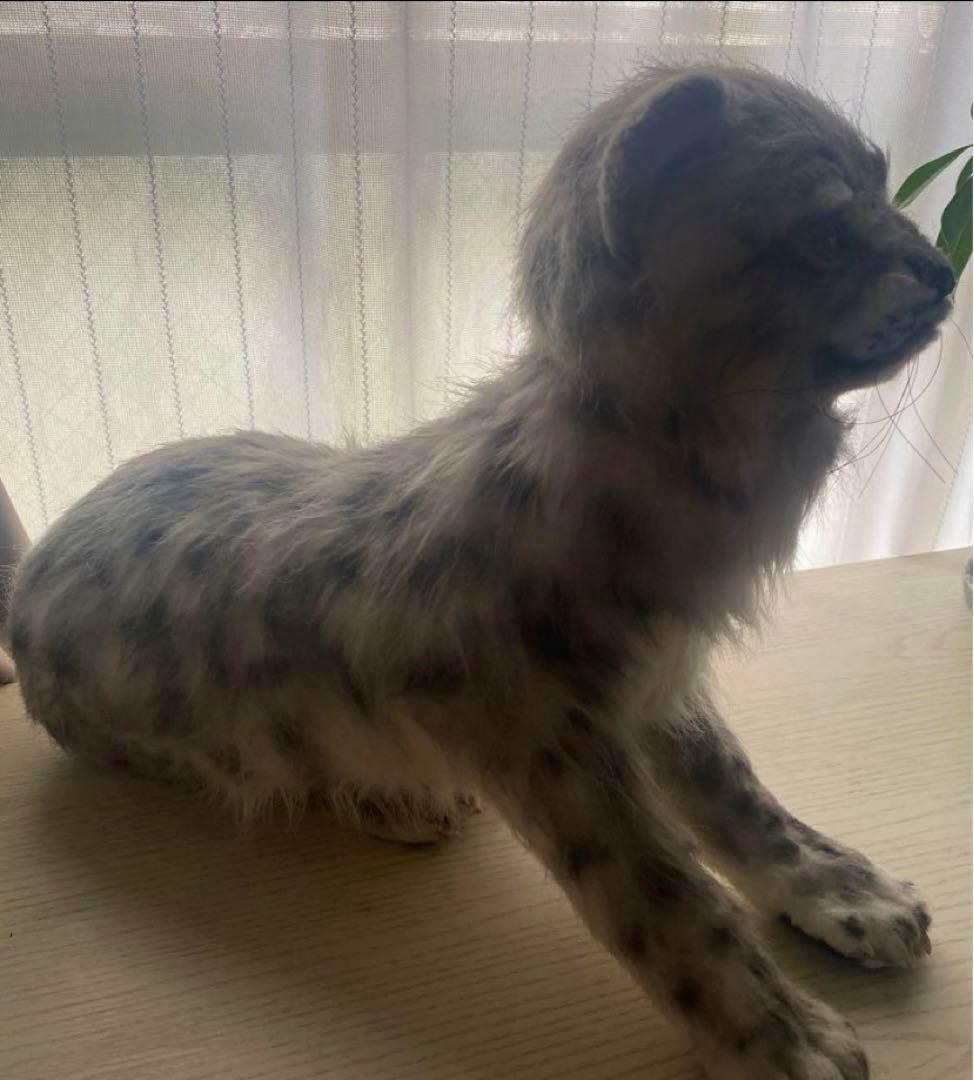 雪豹アートドール