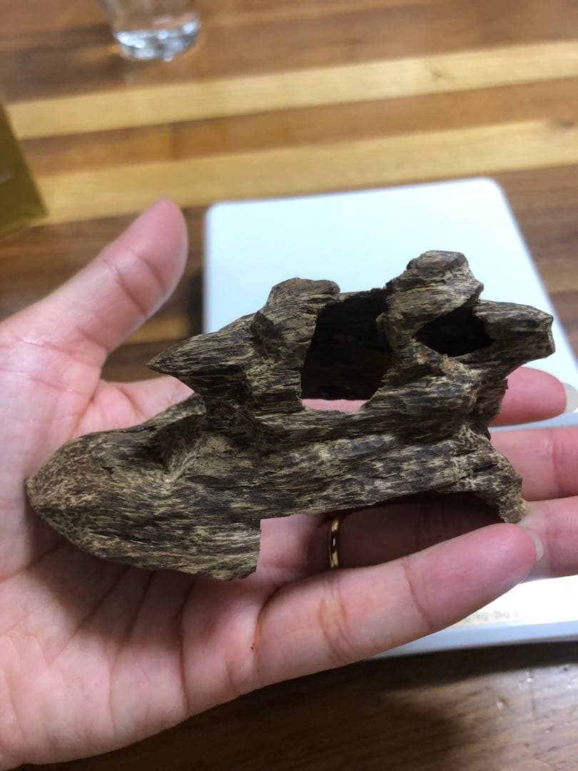 ベトナム産高品質沈香伽羅14.5g香木水に沈みます。