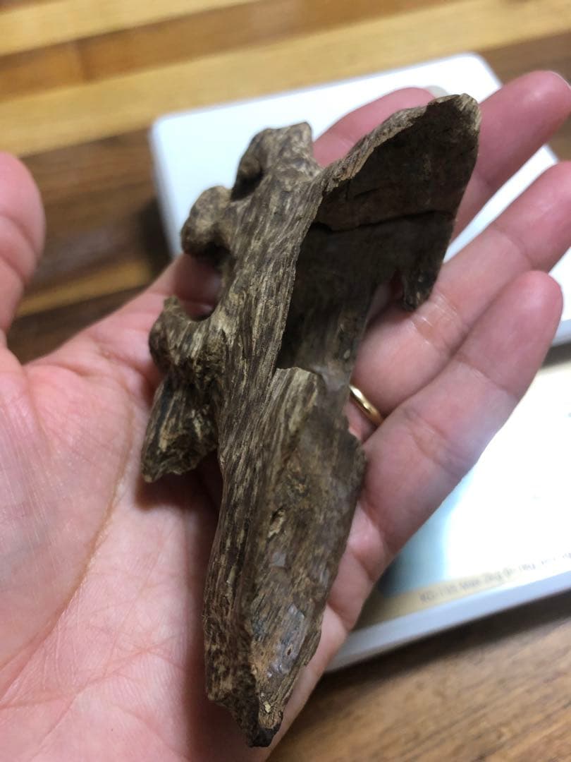 ベトナム産高品質沈香伽羅14.5g香木水に沈みます。