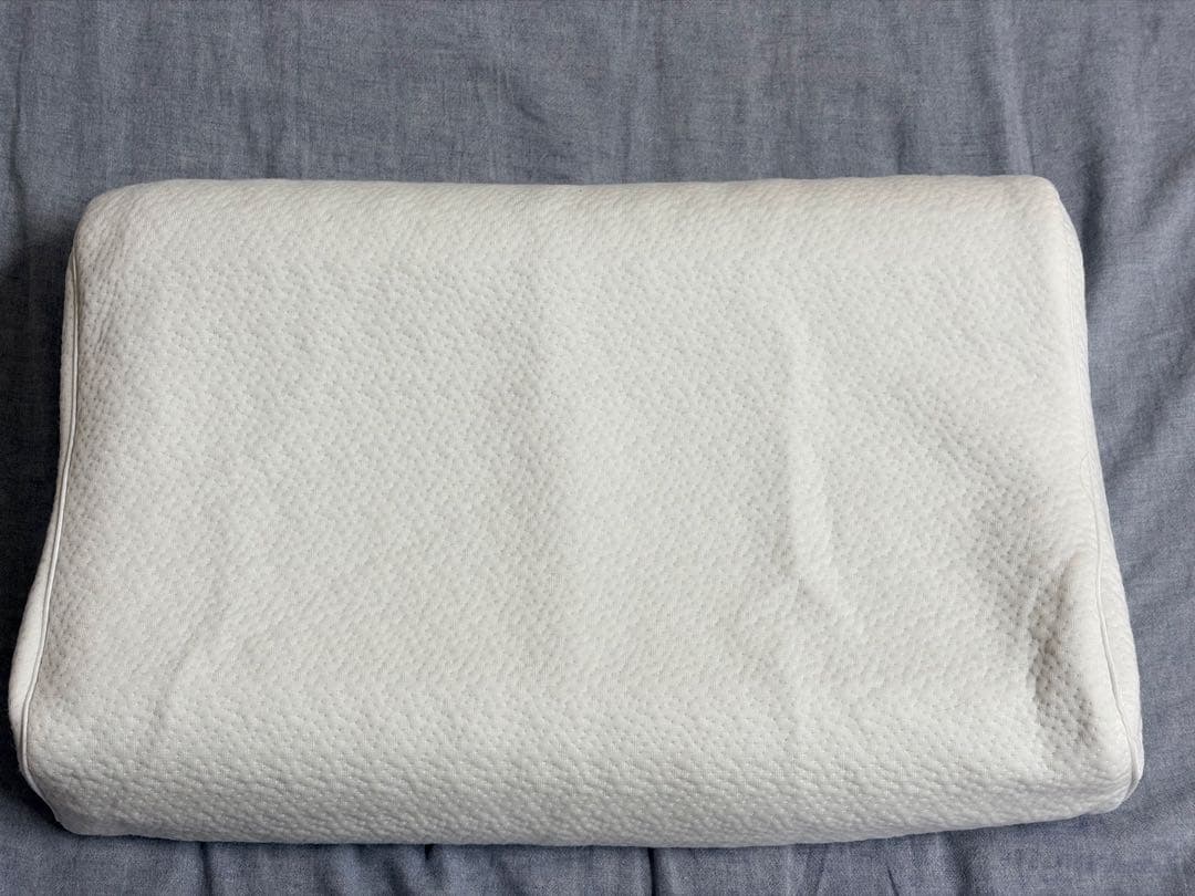 ヒツジのいらない枕 至極　テンセル枕カバー付 専用サラサラカバー付