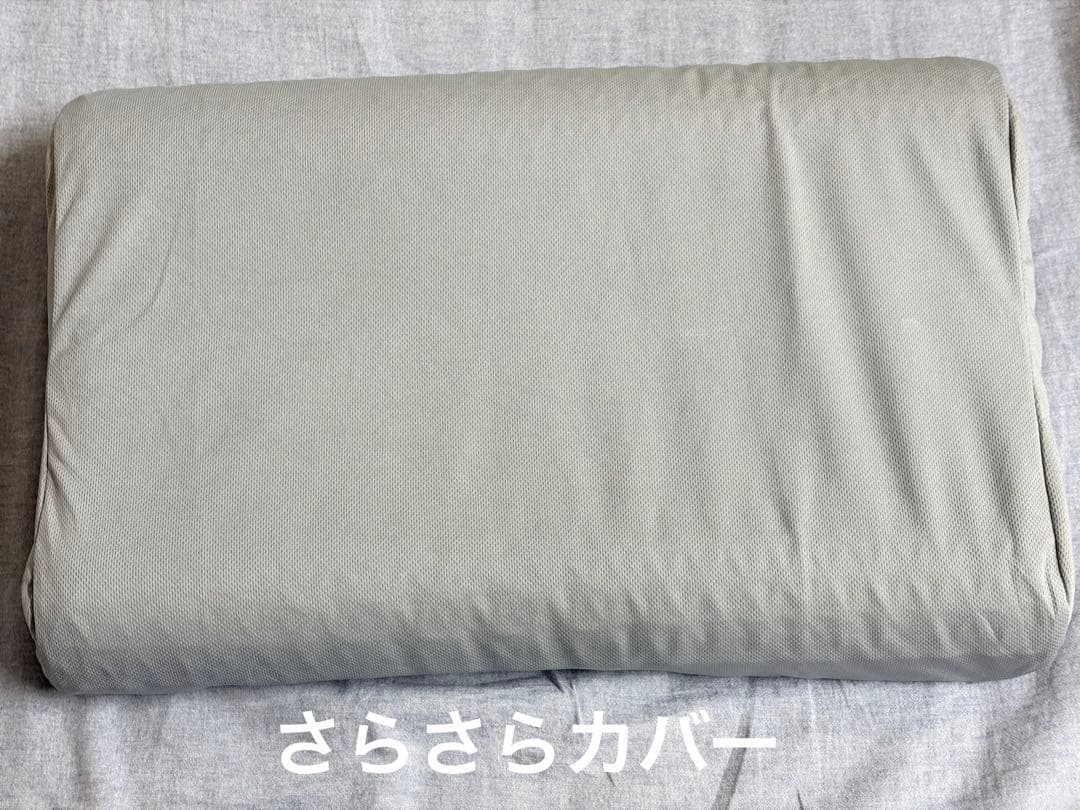 ヒツジのいらない枕 至極　テンセル枕カバー付 専用サラサラカバー付