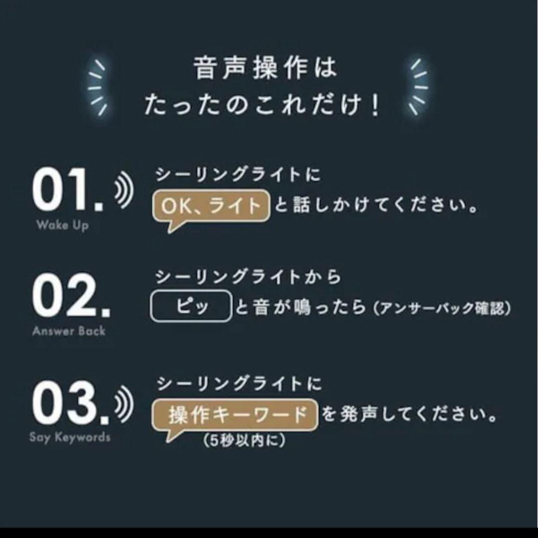 アイリスオーヤマ　音声操作　LEDシーリングライト CEK-A08DLPV