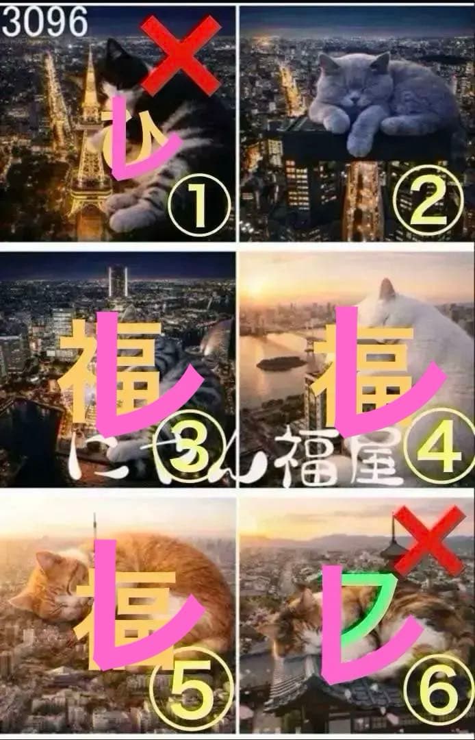 パネル生地　　猫ちゃん　1 見本