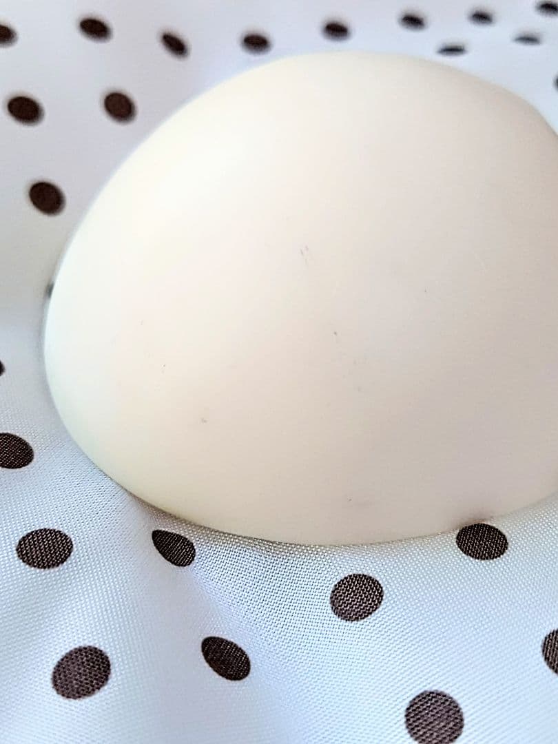 ローゼンリードponpon、球体人形