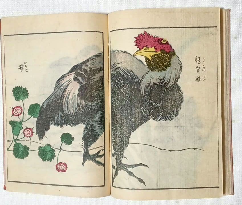 後摺多色刷り版画本傳神開手北斎画宛初編、葛飾北斎画、明治8年片野東
